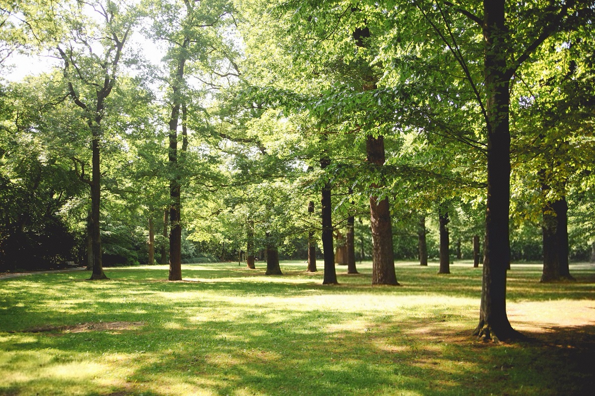 Case Study of IP Broadcast System Application in Zoos: Enhancing Management Efficiency and Emergency